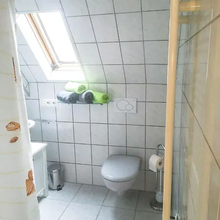 Rheinterrasse 3 公寓 兰施泰因